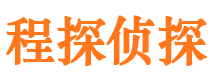 远安市调查公司